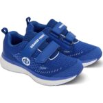 R-V Blue